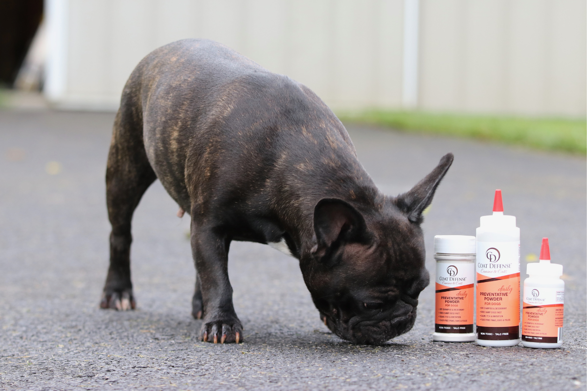 The secret is out: COAT DEFENSE® isn't JUST for horses!