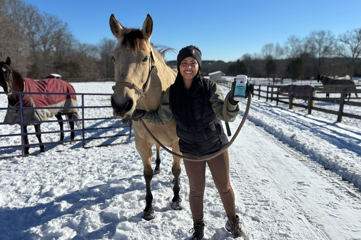 How to Wash your Horse in Winter