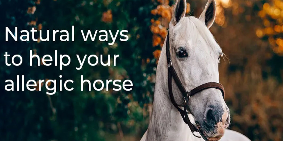 It’s Pollen Season! How to Help Your Allergic Horse, Naturally