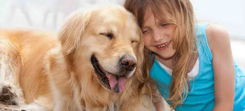 For Your Dog