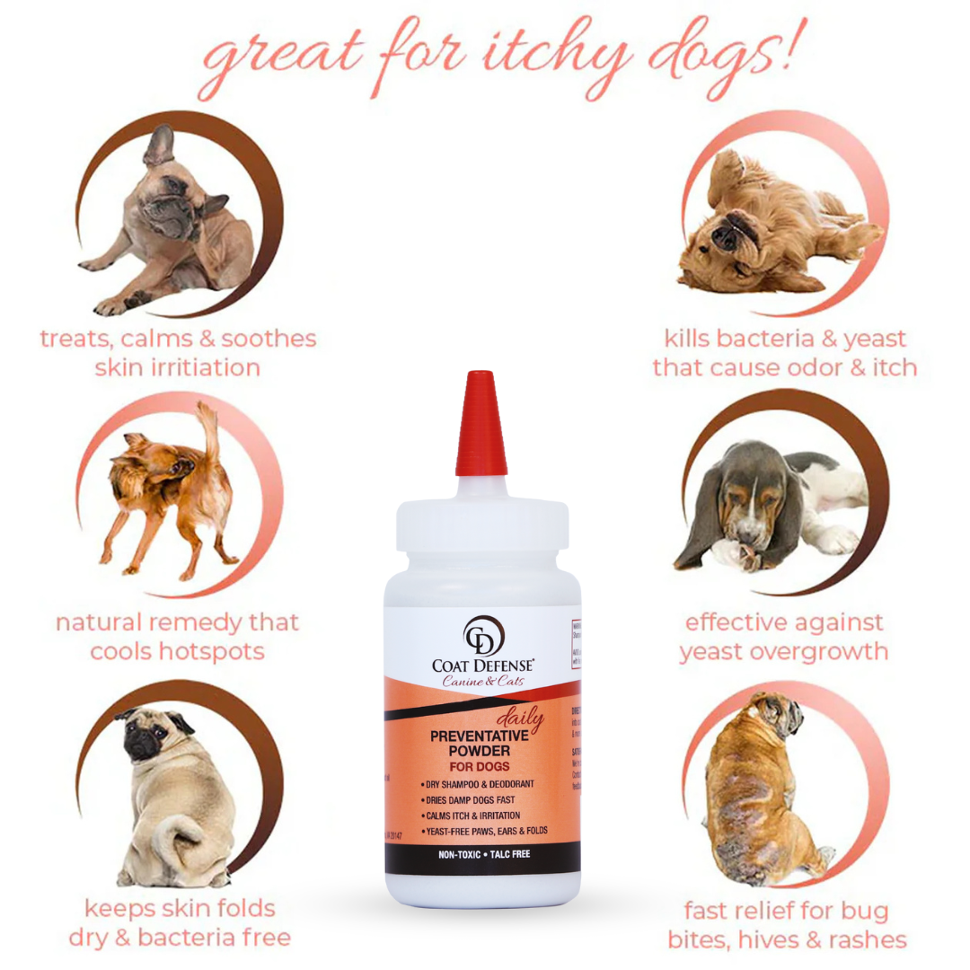 Daily Preventative Powder - Precision Point 4.2oz