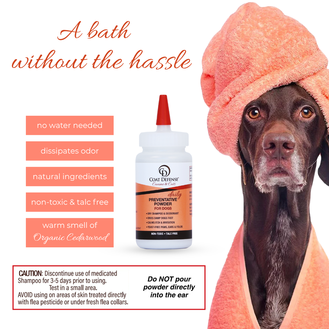 Daily Preventative Powder - Precision Point 4.2oz