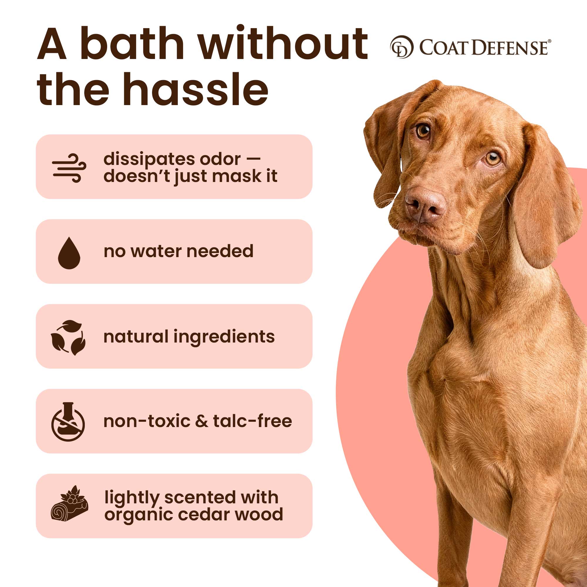 Daily Preventative Powder - Precision Point 4.2oz