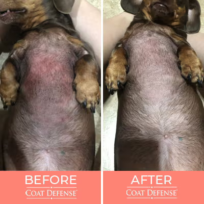 Daily Preventative Powder - 9 oz. Precision Point