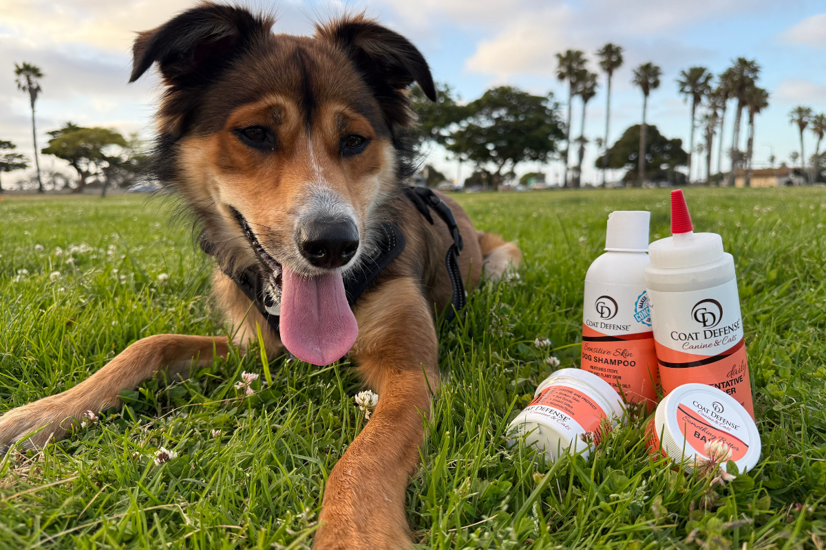 I bought Coat Defense for My Dog... And It Also Works For ______________!!!