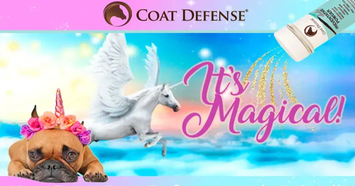 Coat Defense Is Magical!