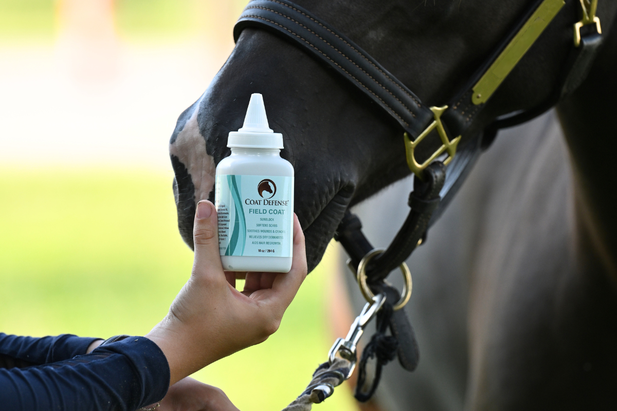 What Are You Baking Into Your Horse's Skin?