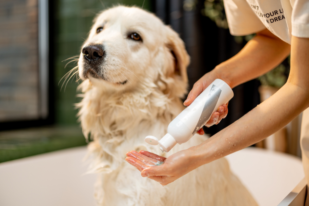 Is Your Pet Shampoo Greenwashed?