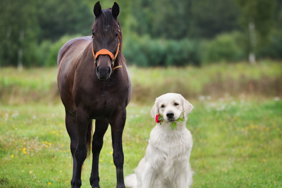 How One Mom in Her 50s Created a Yeast Solution Vets Said Was Impossible