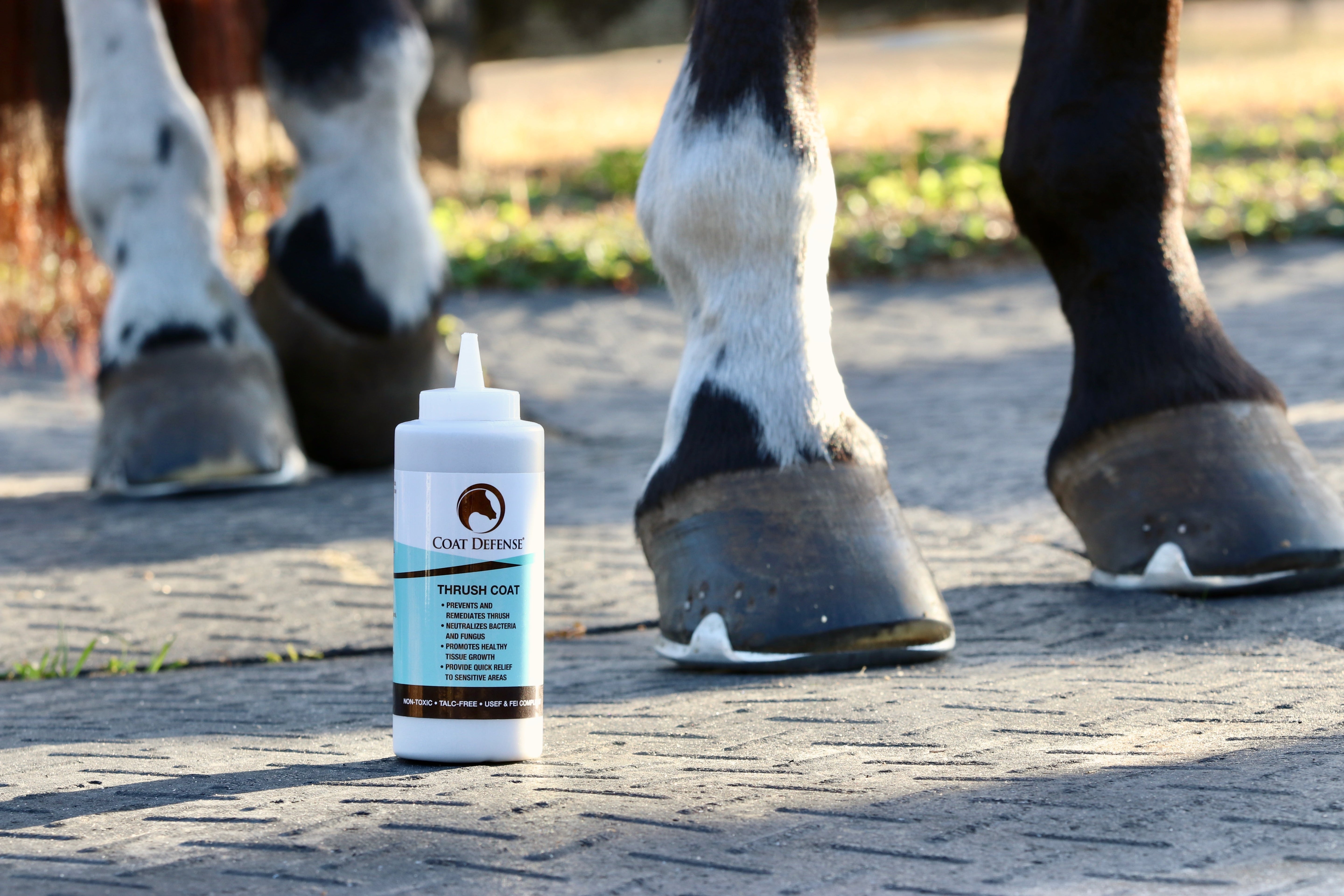 Thrush Coat: Protecting the Foundation of Your Horse