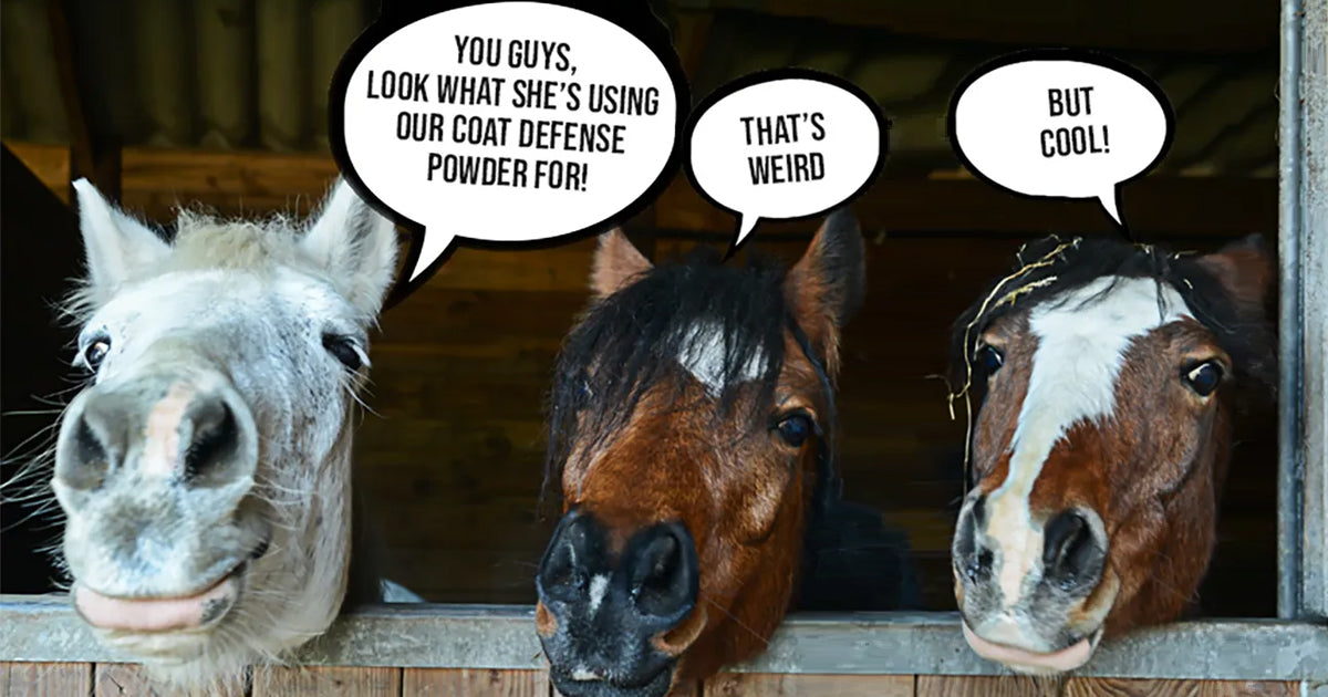 I bought Coat Defense for My Horse... And It Also Works For ______________!!!
