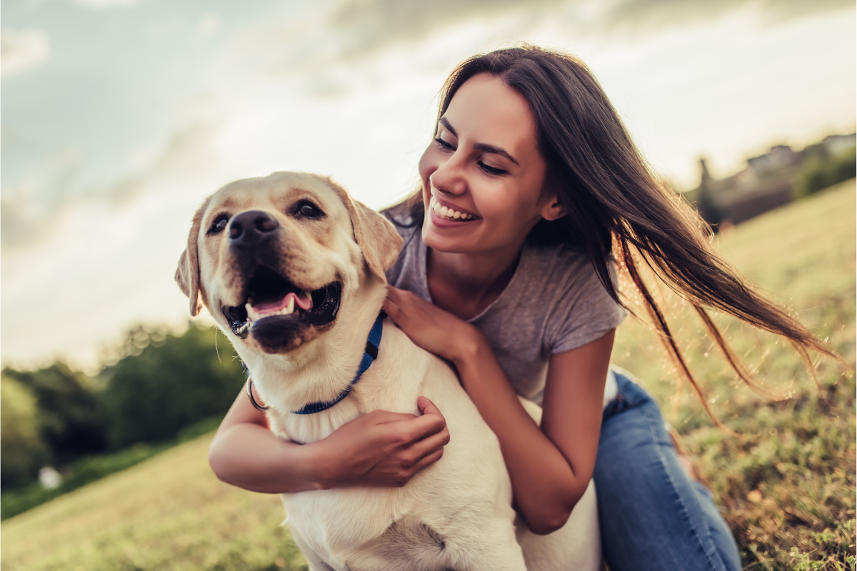 Why Are So Many Dogs Struggling Today? (And What We Can Do About It)