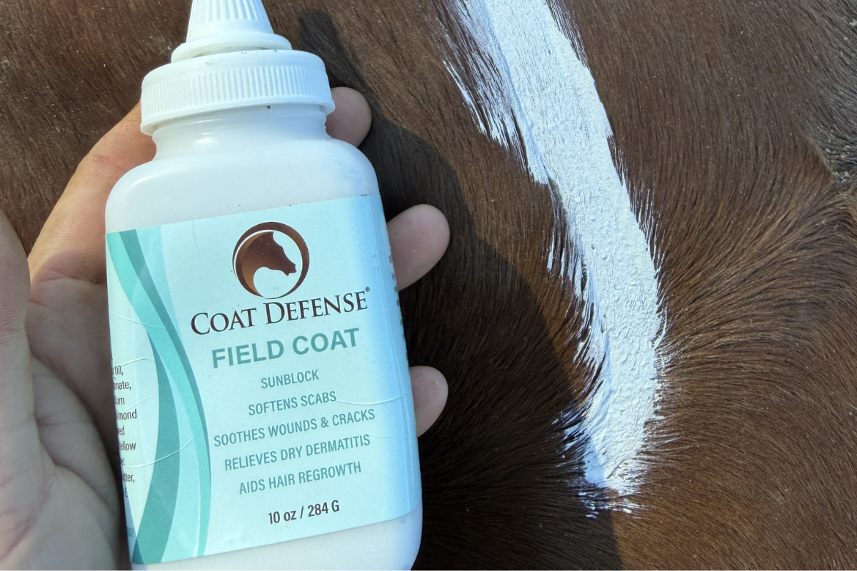 Why Horses Lose Hair After Wounds Heal