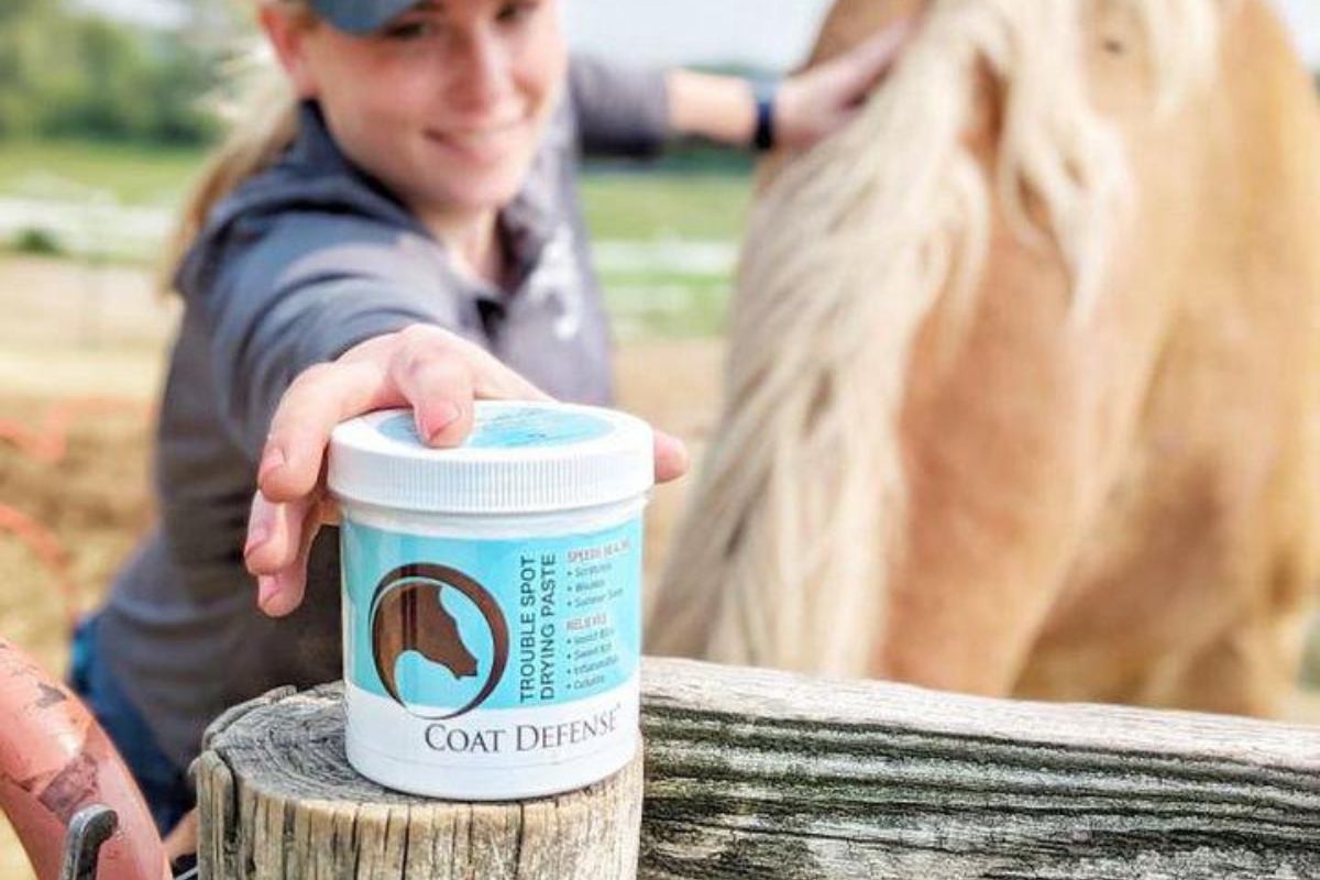 Wound Care for Horses: How to Heal Faster, Prevent Proud Flesh, and Protect Skin Naturally