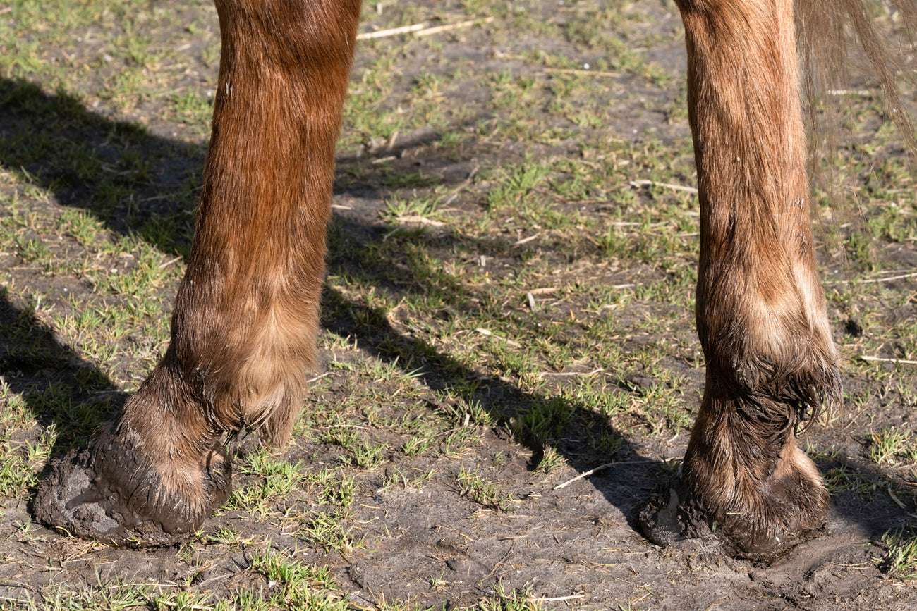 The science of dryness: scratches thrive in a moist environment.