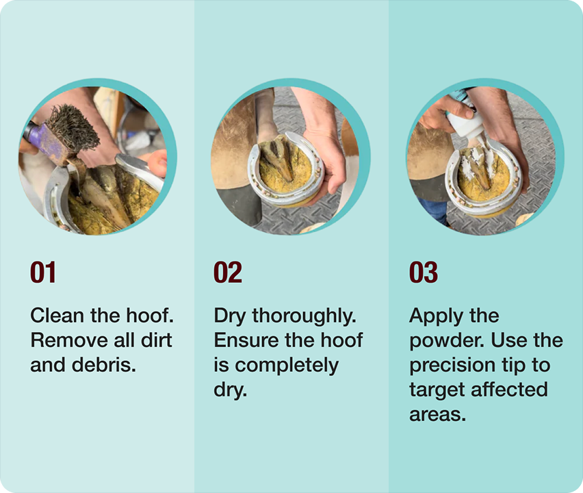 As easy as 1–2–3