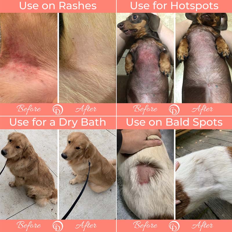 hot spot on dogs, bald spot dog powder