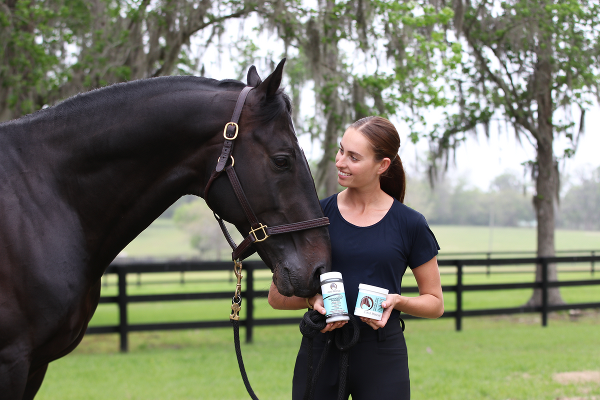We love your horse!