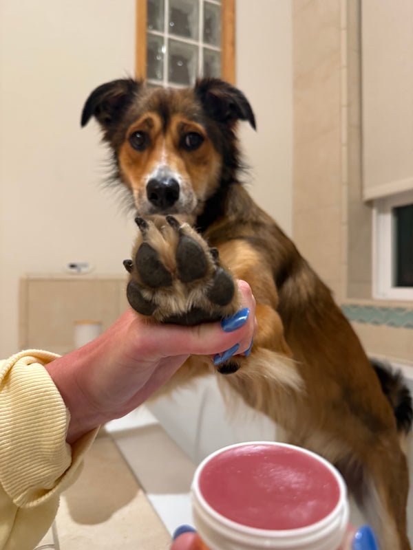 Paws
