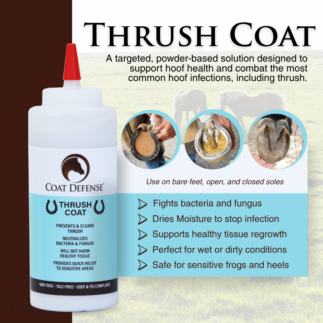 Rain Coat Kit