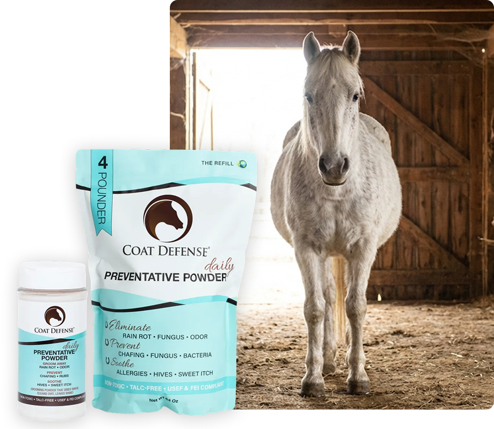 We love your horse!