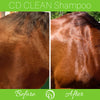 CD CLEAN Shampoo - FREE SHIPPING