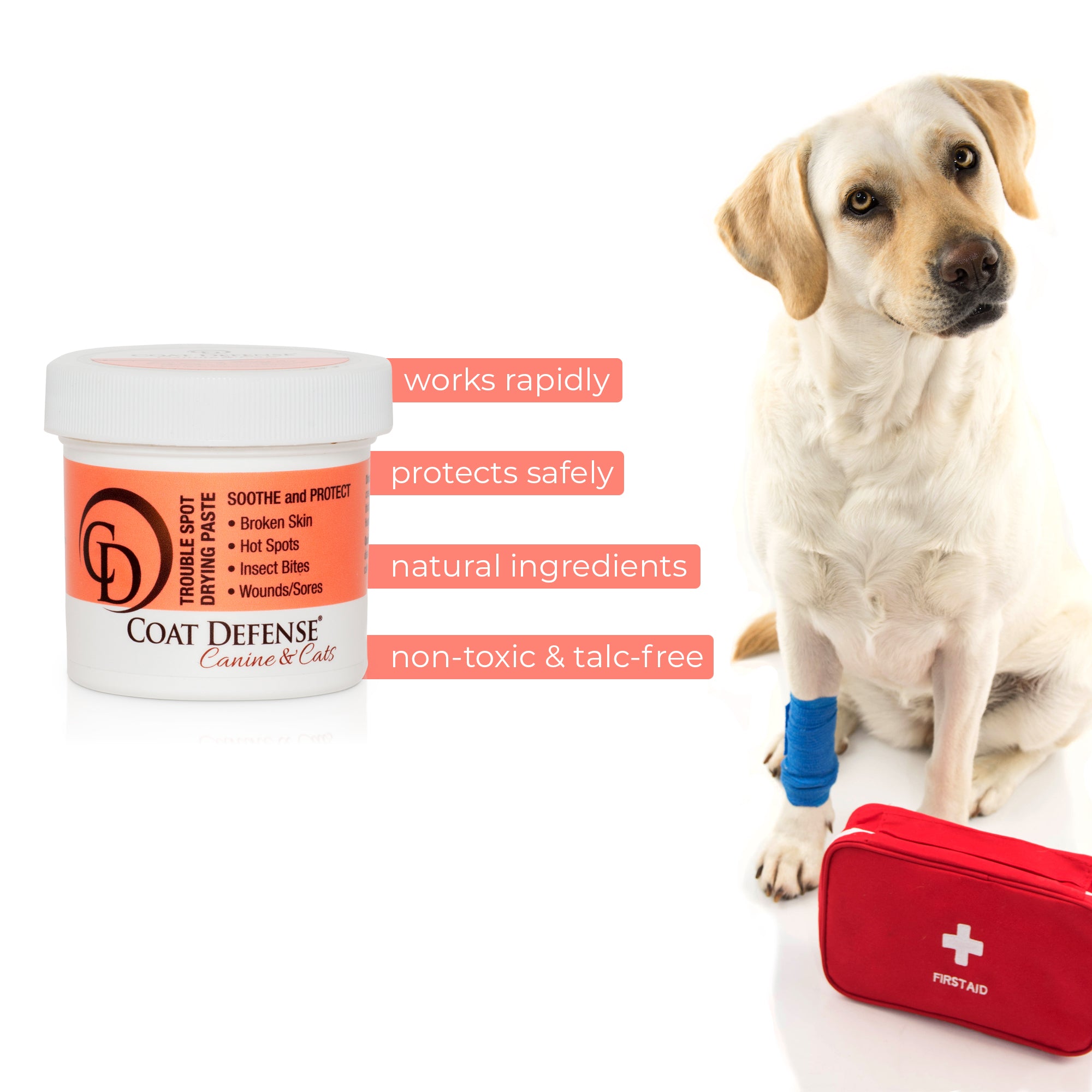 Trouble Spot Drying Paste - Canine and Cat - 5oz