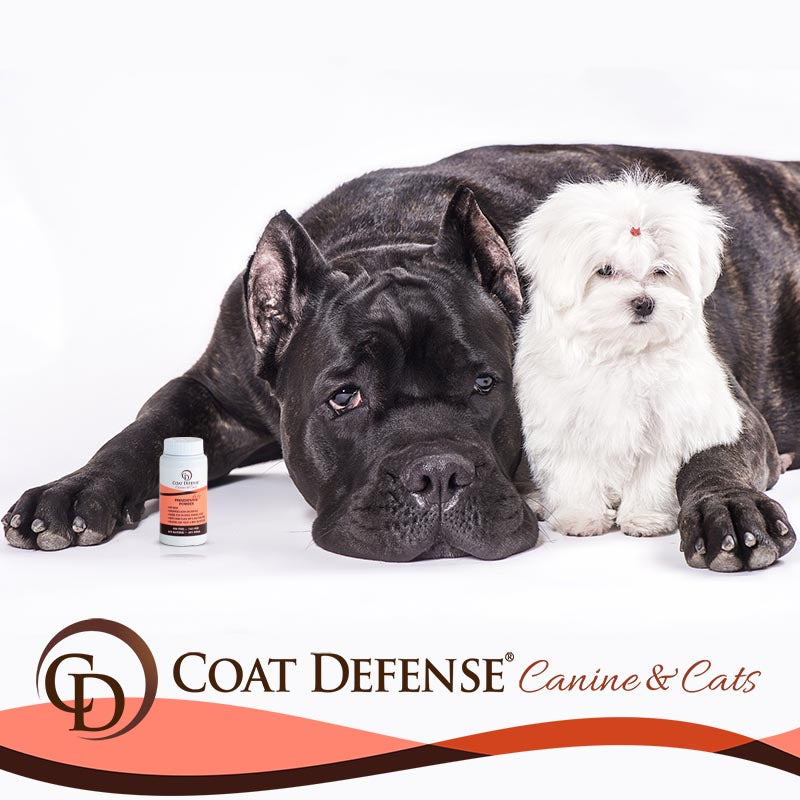 Canine Powder - Travel Size (3.5oz)