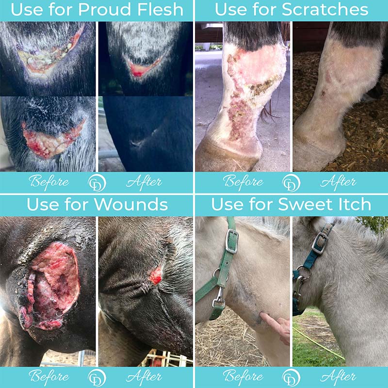 Coat Defense | Triple Crown Bundle | Horse Powder, Paste & Shampoo